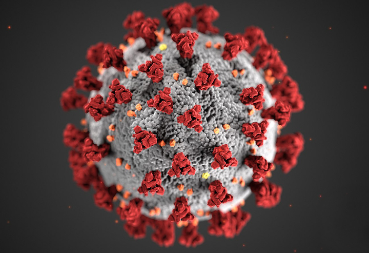 Das Corona-Virus.