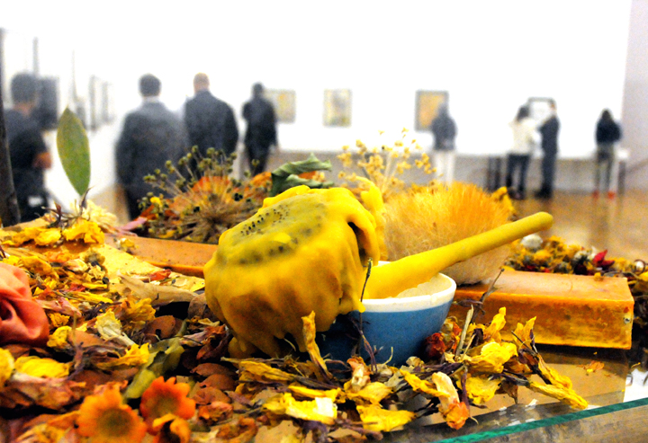 Blick über ein Detail der Installation der Künstlerin Athena Vida bei der Vernissage der Ausstellung "Parlament der Pflanzen" im Kunstmuseum Liechtenstein in Vaduz. Gut zu erkennen ist der quer liegende orangefarbene Seifenblock.